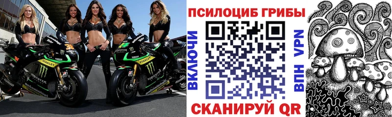 где найти наркотики  Ивдель  Галлюциногенные грибы мухоморы 