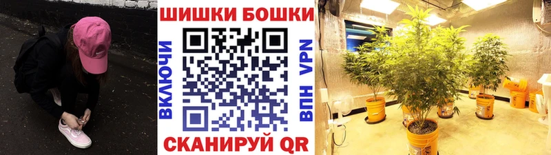Каннабис план  Ивдель 